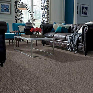 Anso® Nylon Carpet | Englewood, FL
